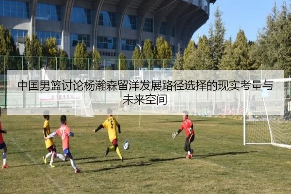 中国男篮讨论杨瀚森留洋发展路径选择的现实考量与未来空间