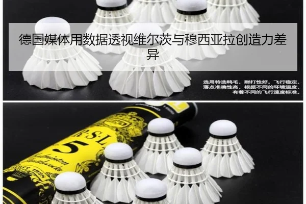 德国媒体用数据透视维尔茨与穆西亚拉创造力差异