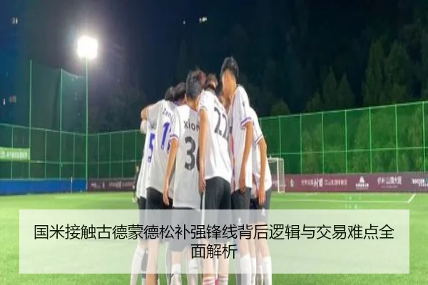 国米接触古德蒙德松补强锋线背后逻辑与交易难点全面解析